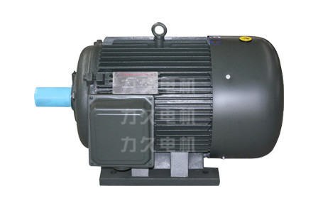 TYG系列高效永磁電機(jī) TYG系列高效永磁電機(jī)