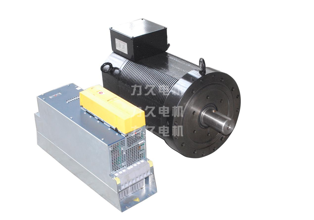 DYTS系列大功率伺服永磁同步電機(jī) DYTS系列大功率伺服永磁同步電機(jī)