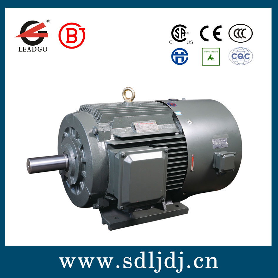 高效變頻電機(jī) 高效變頻電機(jī)