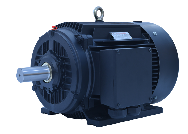 TYP永磁同步電機(jī) TYP永磁同步電機(jī)