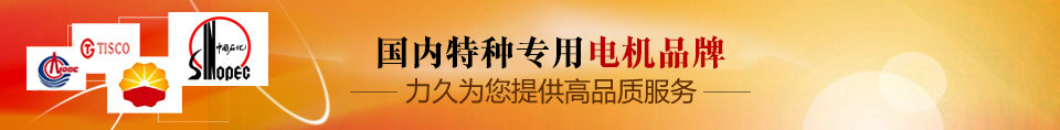 力久——特種專(zhuān)用電機(jī)品牌！
