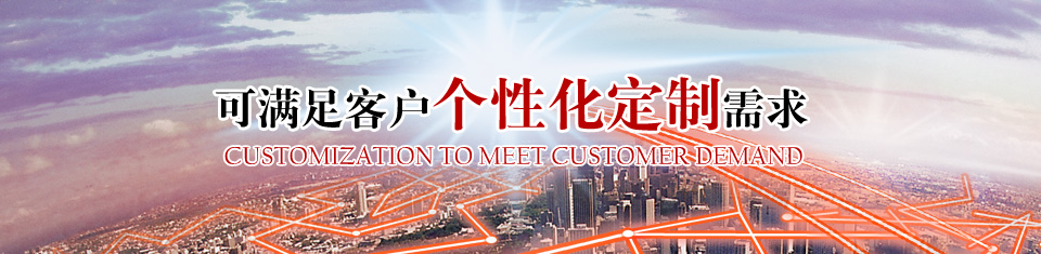 定制電機 定制電機