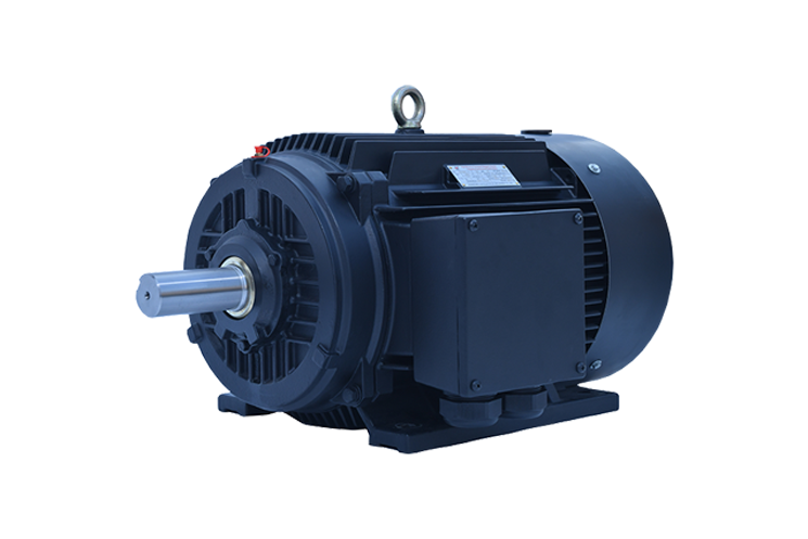 TYP系列超高效永磁變頻電動(dòng)機(jī) TYP系列超高效永磁變頻電動(dòng)機(jī)
