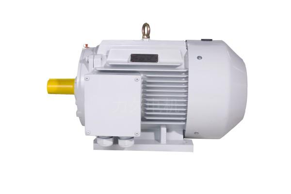 YFBX4系列高效率粉塵防爆型三相異步電動機(jī) YFBX4系列高效率粉塵防爆型三相異步電動機(jī)