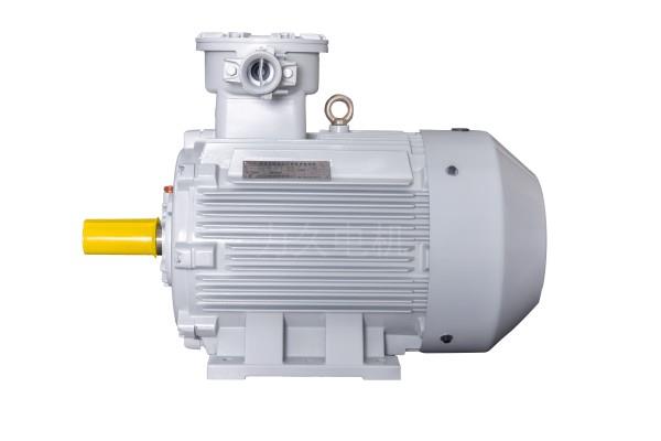 YBX3系列高效率隔爆型三相異步電動(dòng)機(jī)|防爆電機(jī) YBX3系列高效率隔爆型三相異步電動(dòng)機(jī)|防爆電機(jī)