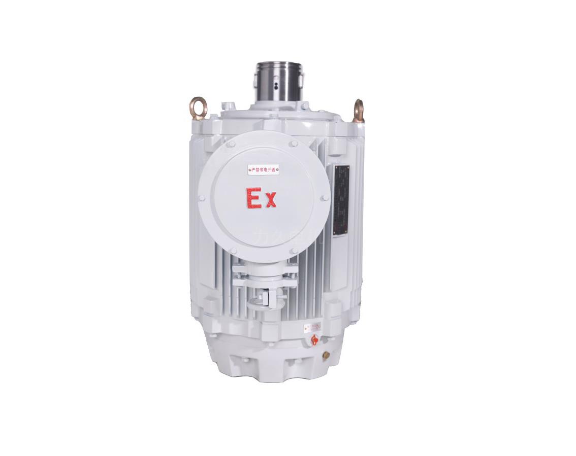 TYPL系列隔爆型永磁變頻螺桿泵專用電機(jī) TYPL系列隔爆型永磁變頻螺桿泵專用電機(jī)