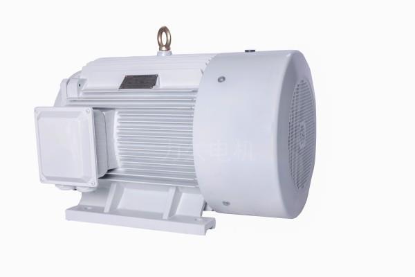 DYG系列高起動(dòng)轉(zhuǎn)矩多速電動(dòng)機(jī)系統(tǒng) DYG系列高起動(dòng)轉(zhuǎn)矩多速電動(dòng)機(jī)系統(tǒng)