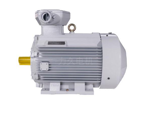 YBX5系列高效率隔爆型三相異步電動(dòng)機(jī) YBX5系列高效率隔爆型三相異步電動(dòng)機(jī)