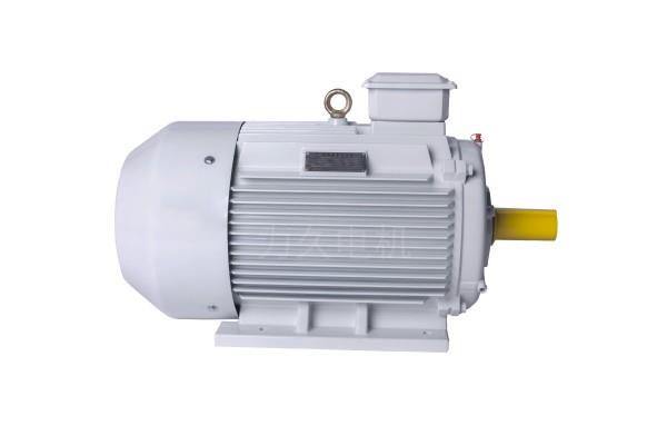 YE5(IE5)系列三相異步電動(dòng)機(jī) YE5(IE5)系列三相異步電動(dòng)機(jī)