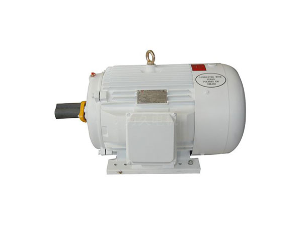 NEMA標(biāo)準(zhǔn)三相異步電動(dòng)機(jī)(D設(shè)計(jì)、油井泵專用電機(jī))