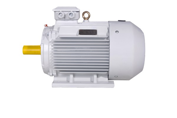 TYP系列超高效永磁變頻電動(dòng)機(jī)